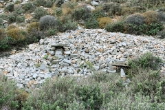 Μελίσσι-σε-παραδοσιακές-κυψέλες